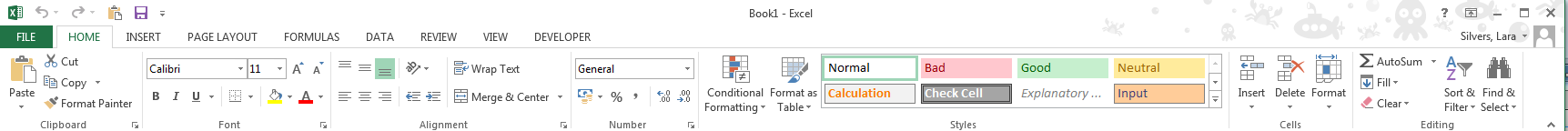 The Excel ribbon