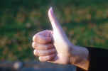 14_hand.jpg (96716 Byte) thumb up finger up free images