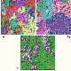 Figure 5.8