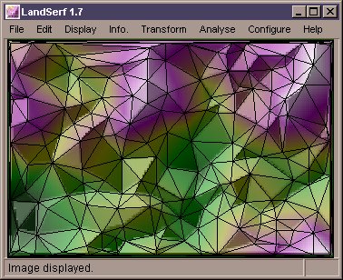 Fractal TIN Surface