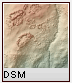 DSM