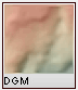 DGM