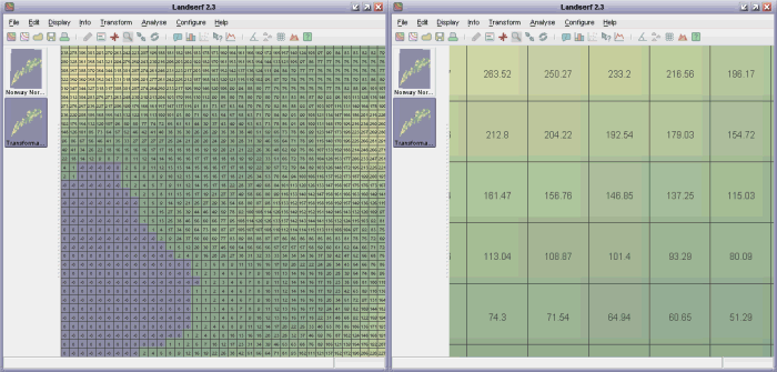 Numeric raster display