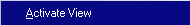 cmactivateview.gif (1487 bytes)