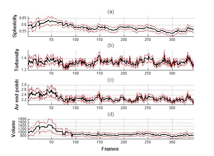 Measurements of the neutrophil shape