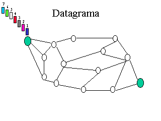A datagram in a network