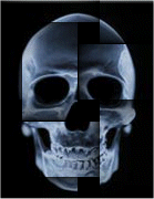 Placeholder  Image